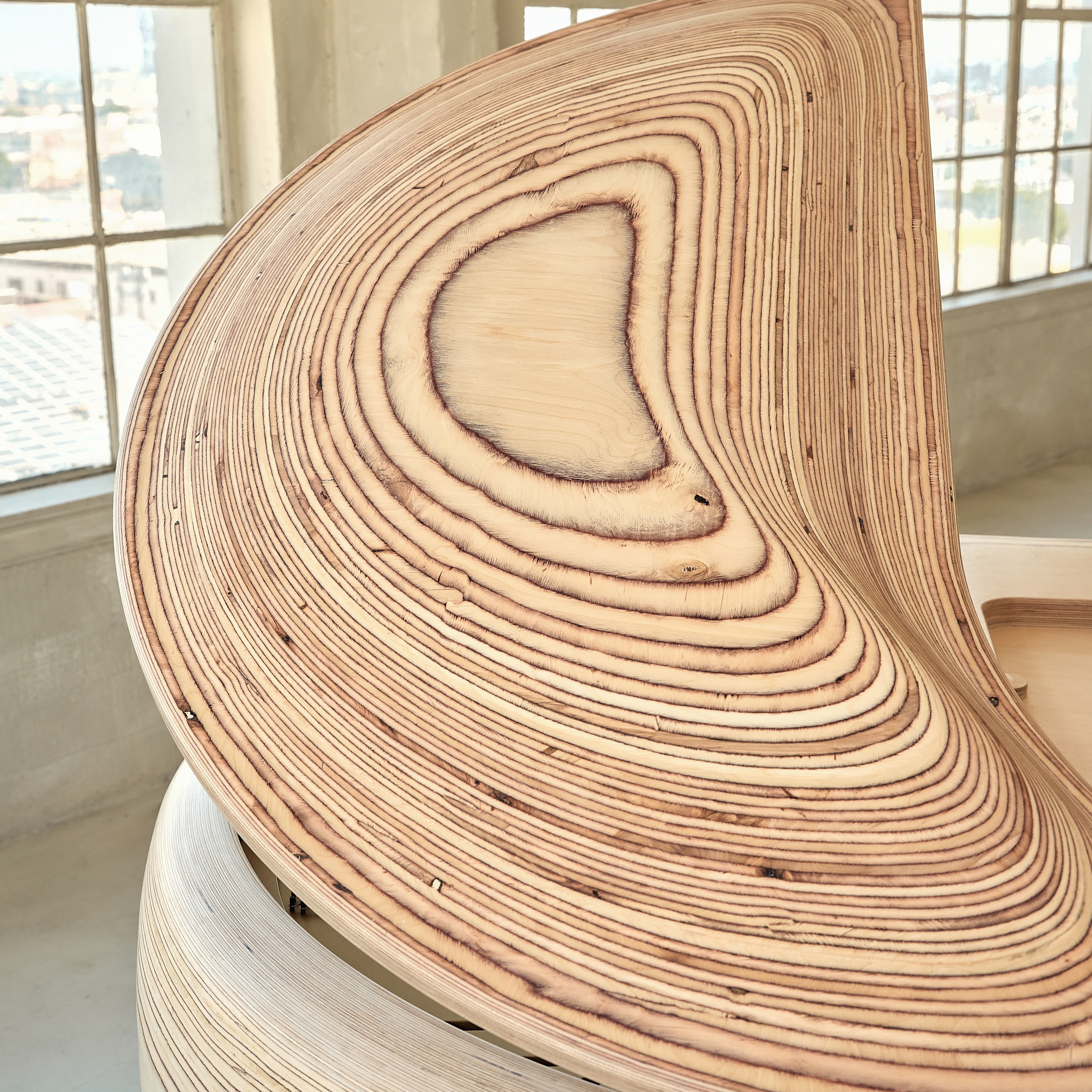 Timbra image number 6